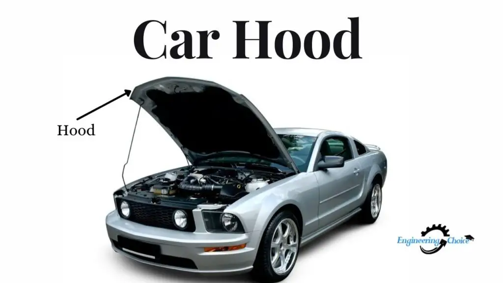 Car Hood