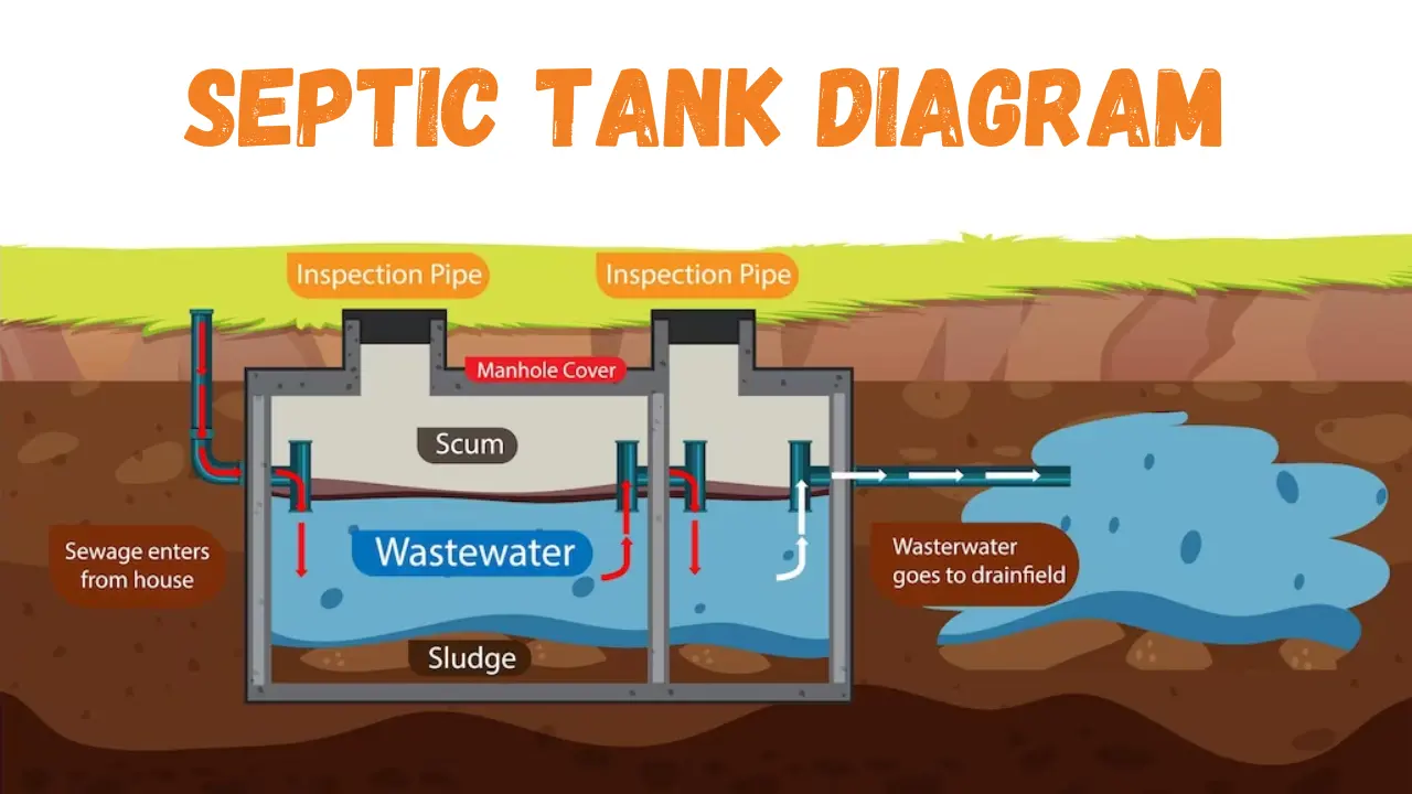 septic-tank-diagram
