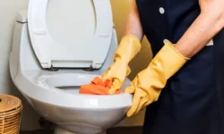 7 Ways to Unclog a Toilet Without a Plunger